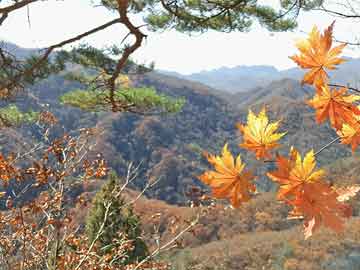 崇左普锐斯报价（丰田prius普锐斯报价）